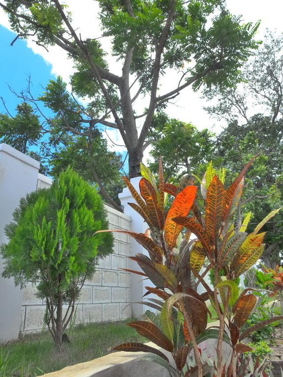 Golden Lotus Inle Hotel Nyaung Shwe Εξωτερικό φωτογραφία